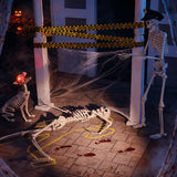 5.4FT Life-Size Human Skeleton Decoration – Adjustable