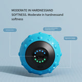 NNETM Portable USB Rechargeable Massage Ball – 5-Speed(Blue)