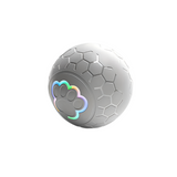 NNETM Interactive Dog Toy Ball - Grey Striped