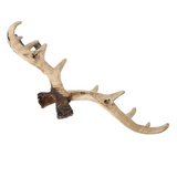 NNETM Furniture Personality Decorative Antler Hook - A-03 Colour
