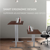 NNEMB Sit To Stand Up Standing Desk, 140x70cm, 72-118cm Electric Height Adjustable, 40kg Rated, Walnut Style/Silver Frame