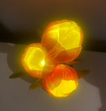 NNEOBA Tulip Table Lamp