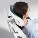 NNEOBA Ergonomic Chair with Waist Support