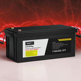 NNEDSZ 12V 200Ah Lithium Battery LiFePO4 Deep Cycle Box Solar Caravan Camping