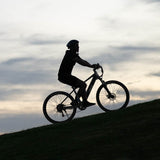 NNEMB Vortex 3 Electric Bike, Medium Frame Mountain ebike, Gunmetal Grey