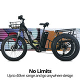 NNEMB Electric Fat Tyre Tricycle, 500W, Throttle, Hydraulic Disc Brakes, Alloy Frame, Suspension, Black