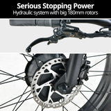 NNEMB Electric Fat Tyre Tricycle, 500W, Throttle, Hydraulic Disc Brakes, Alloy Frame, Suspension, Black