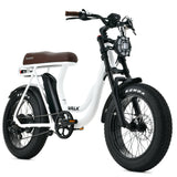 NNEMB Electric Fat Tyre Bike, 350W, 32km/hr, Throttle ebike, Disc Brakes, Step-Through Alloy, Shimano 7 spd, 20x4' Kenda Tyres, Suspension, White
