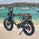 NNEMB Electric Fat Tyre Bike, 500W, 45km/hr, Throttle ebike, 20x4' Kenda Tyres, Shimano 7 spd, Suspension, Black