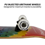 NNEDPE Kryptonics 31-inch Star Series Complete Skateboard Rainbow Dot
