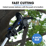 NNEMB SW7 20V Cordless Convertible Mini Chainsaw Pole Saw Kit, Telescopic Electric Tree Pruner with Lithium Battery & Fast Charger