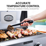 NNEMB 2-Burner Stainless Steel Portable Gas BBQ Grill w/ 2 x Cast Iron Plates