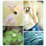 52Mm Professional Filter Set For Gopro Hero 7 / 6 / 5 With Adapter And Lens Cap-1915197230105628677