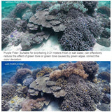 Diving Filter For Dji Action Camera - Oa Fi180-1915197000995966982