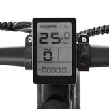 NNEDSZ 26 Inch Electric Bike Mountain Bicycle eBike Built-in Battery 250W