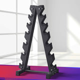 NNEDSZ Dumbbells Rack 6 Tier Dumbbell Stand Home Gym Storage 200kg Capacity