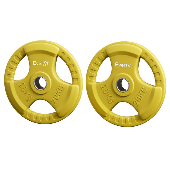 NNEDSZ Weight Plates Standard 20kgx2 Dumbbell Barbell Plate Weight Lifting Home Gym Yellow