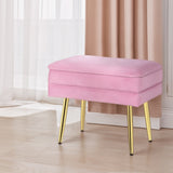NNEDSZ Artiss Ottoman Storage Foot Stool Vanity Velvet Pink