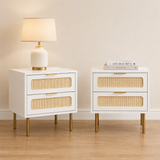 Artiss 2x Rattan Bedside Table 2 Drawers White