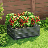 NNEDSZ Green Fingers Garden Bed 80X60X30cm Planter Box