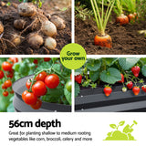 NNEDSZ 2x Green Fingers Raised Garden Bed 320X80X56cm Oval Planter Box
