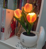 NNEOBA Tulip Table Lamp