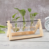 NNEOBA Glass and Wood Vase Planter Terrarium Table Desktop Hydroponics Plant Bonsai Flower Pot Hanging Pots with Wooden Tray Home Decor
