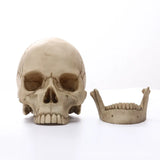 NNEOBA Human Skull Statue: Intriguing Home Decor & Halloween Accent