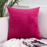 NNEOBA Velvet Pillow Cases Cushion Cover