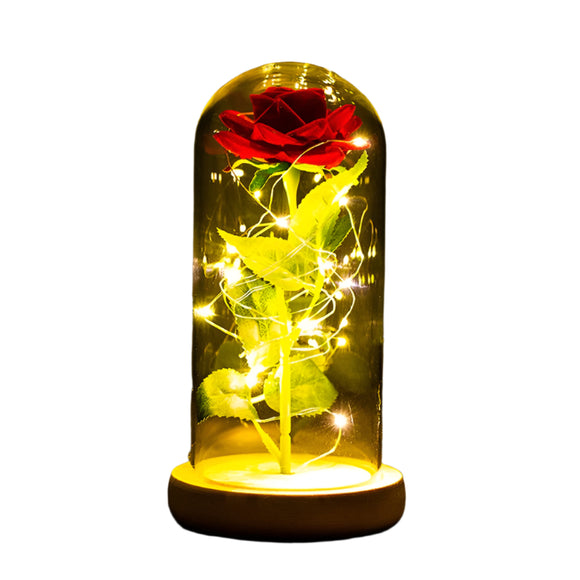 NNEOBA Valentines Day Gift for Girlfriend Eternal Rose LED Light Foil Flower In Glass Cover Mothers Day Wedding favors Bridesmaid Gift