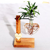 NNEOBA Glass and Wood Vase Planter Terrarium Table Desktop Hydroponics Plant Bonsai Flower Pot Hanging Pots with Wooden Tray Home Decor