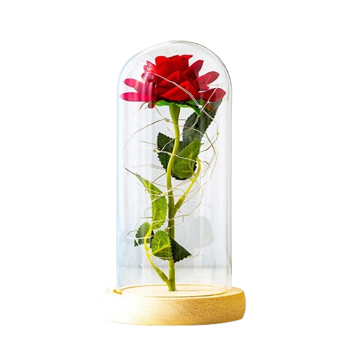 NNEOBA Valentines Day Gift for Girlfriend Eternal Rose LED Light Foil Flower In Glass Cover Mothers Day Wedding favors Bridesmaid Gift
