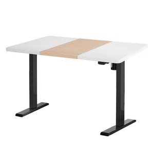 NNEDSZ Motorised Standing Desk Sit Stand Desks 120CM