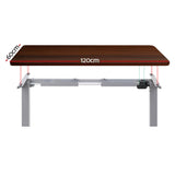 NNEDSZ Artiss Standing Desk Motorised 120CM Walnut