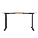 NNEDSZ Artiss Standing Desk Motorised Electric Dual Motor 120CM