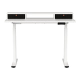 NNEDSZ Artiss Electric Standing Desk Dual Motor Office Table With Shelf Drawer120CM
