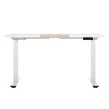 NNEDSZ Artiss Standing Desk Motorised Dual Motor 120CM