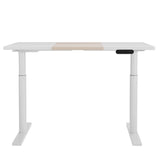 NNEDSZ Artiss Standing Desk Motorised Electric Dual Motor Splice White Pine 120CM