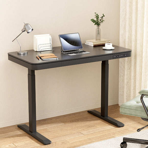 NNEDSZ Artiss Standing Desk Motorised Electric Motor Drawer 120CM Black