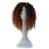 Women Short Curly Gradient Light Wig-1915198333866086401