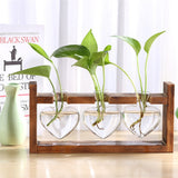 NNEOBA Glass and Wood Vase Planter Terrarium Table Desktop Hydroponics Plant Bonsai Flower Pot Hanging Pots with Wooden Tray Home Decor