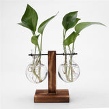 NNEOBA Glass and Wood Vase Planter Terrarium Table Desktop Hydroponics Plant Bonsai Flower Pot Hanging Pots with Wooden Tray Home Decor