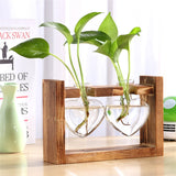 NNEOBA Glass and Wood Vase Planter Terrarium Table Desktop Hydroponics Plant Bonsai Flower Pot Hanging Pots with Wooden Tray Home Decor
