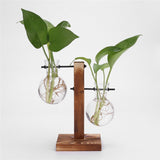 NNEOBA Glass and Wood Vase Planter Terrarium Table Desktop Hydroponics Plant Bonsai Flower Pot Hanging Pots with Wooden Tray Home Decor