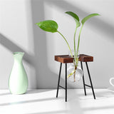 NNEOBA Glass and Wood Vase Planter Terrarium Table Desktop Hydroponics Plant Bonsai Flower Pot Hanging Pots with Wooden Tray Home Decor