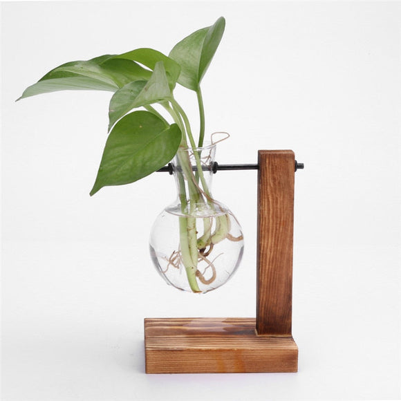 NNEOBA Glass and Wood Vase Planter Terrarium Table Desktop Hydroponics Plant Bonsai Flower Pot Hanging Pots with Wooden Tray Home Decor