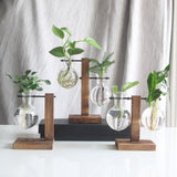 NNEOBA Glass and Wood Vase Planter Terrarium Table Desktop Hydroponics Plant Bonsai Flower Pot Hanging Pots with Wooden Tray Home Decor