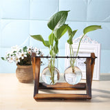 NNEOBA Glass and Wood Vase Planter Terrarium Table Desktop Hydroponics Plant Bonsai Flower Pot Hanging Pots with Wooden Tray Home Decor