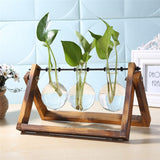 NNEOBA Glass and Wood Vase Planter Terrarium Table Desktop Hydroponics Plant Bonsai Flower Pot Hanging Pots with Wooden Tray Home Decor