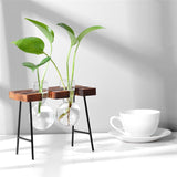 NNEOBA Glass and Wood Vase Planter Terrarium Table Desktop Hydroponics Plant Bonsai Flower Pot Hanging Pots with Wooden Tray Home Decor